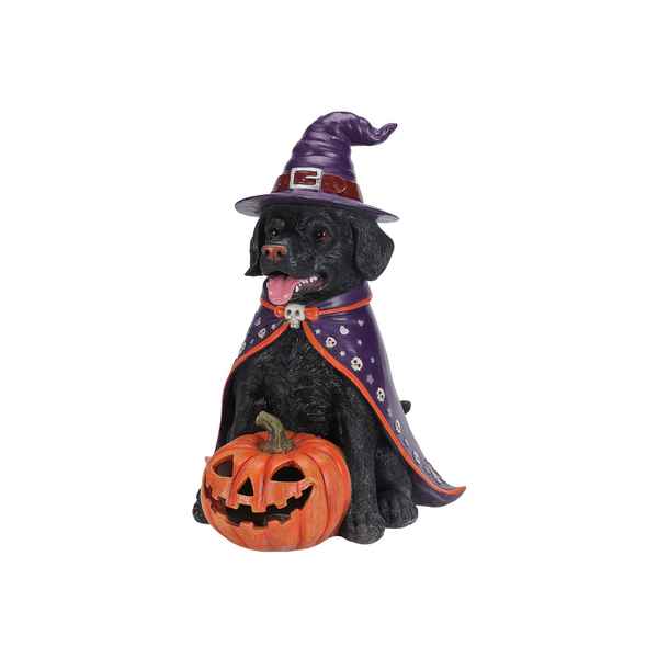Halloween Black Labrador Statue with LED Pumpkin