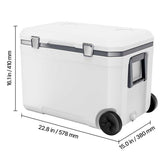 White cooler box with dimensions indicated on a white background