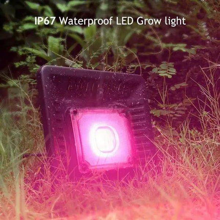 MLNshops 150W Waterproof LED Grow Light Indoor