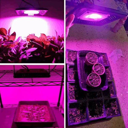 MLNshops 150W Waterproof LED Grow Light Indoor