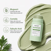 Greenacare Mugwort skincare stick with mugwort leaves on a white background