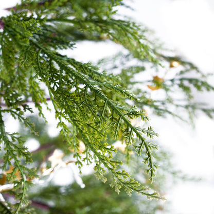 6ft Realistic LED Christmas Tree with Metal Stand - 612 Tips