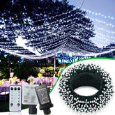 String lights with remote control and power adapter, set up outdoors with trees and tables in the background.