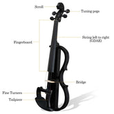 Diagram of a violin with labeled parts on a white background