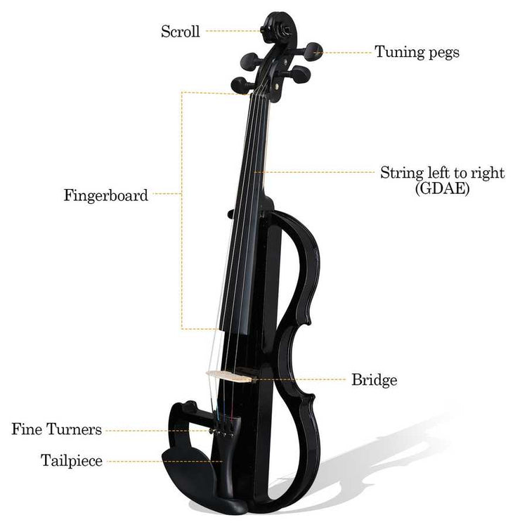 Diagram of a violin with labeled parts on a white background
