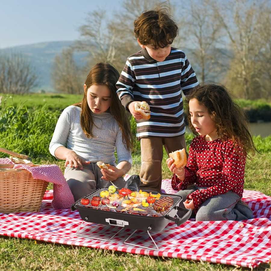 Children grilling outdoors on a red and white checkered blanket with a scenic background.