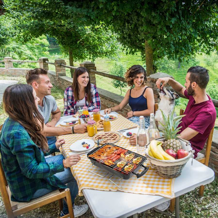 Group of people enjoying a barbecue outdoors with a scenic background