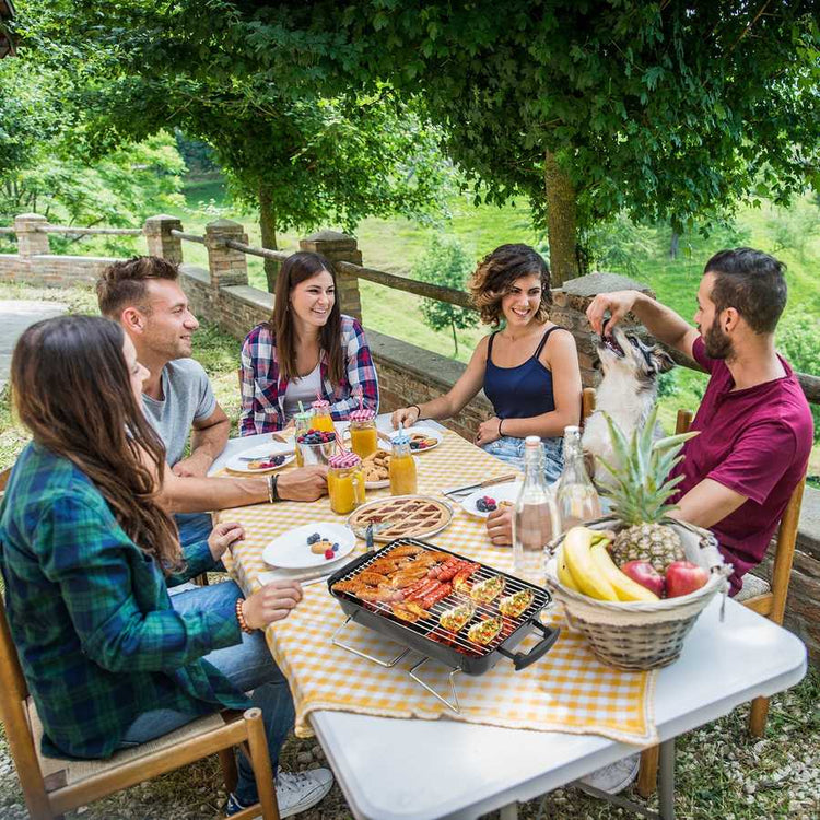 Group of people enjoying a barbecue outdoors with a scenic background