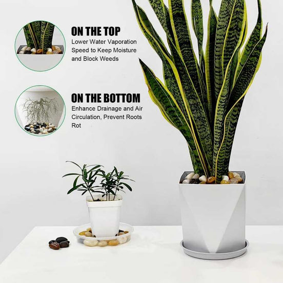 18lbs River Rocks,Multi-Colored 2-3 Inch - Natural Polished Pebbles for Landscaping, Garden Decor, Aquariums, Decorative Stones for Pathways, Planters