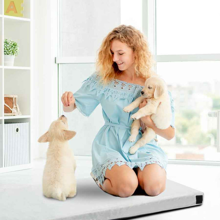Woman in a light blue dress sitting on a white surface with two puppies.