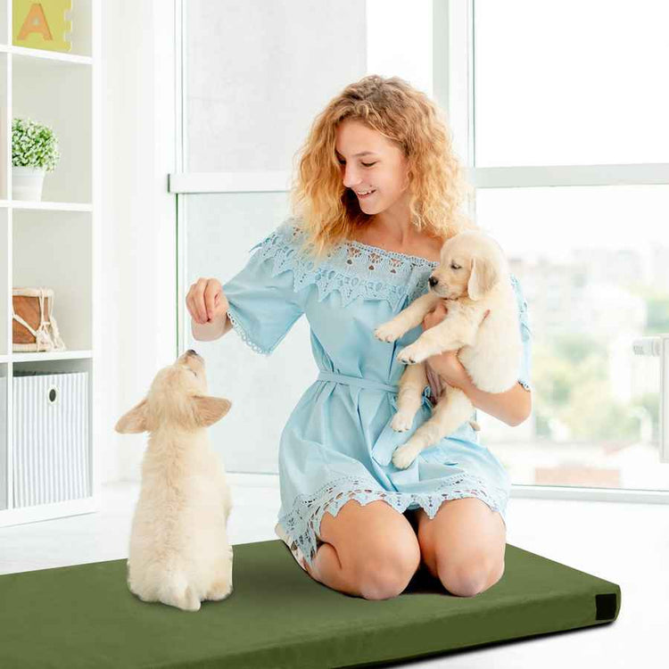Woman in a light blue dress sitting on a green mat with two puppies in a bright room.