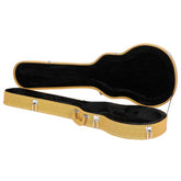 Open guitar case with black interior on a white background
