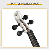 Close-up of a violin&