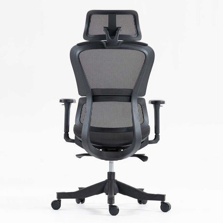 Rear view of high back mesh office chair highlighting breathable mesh back and lumbar support. Designed for ergonomic office use.