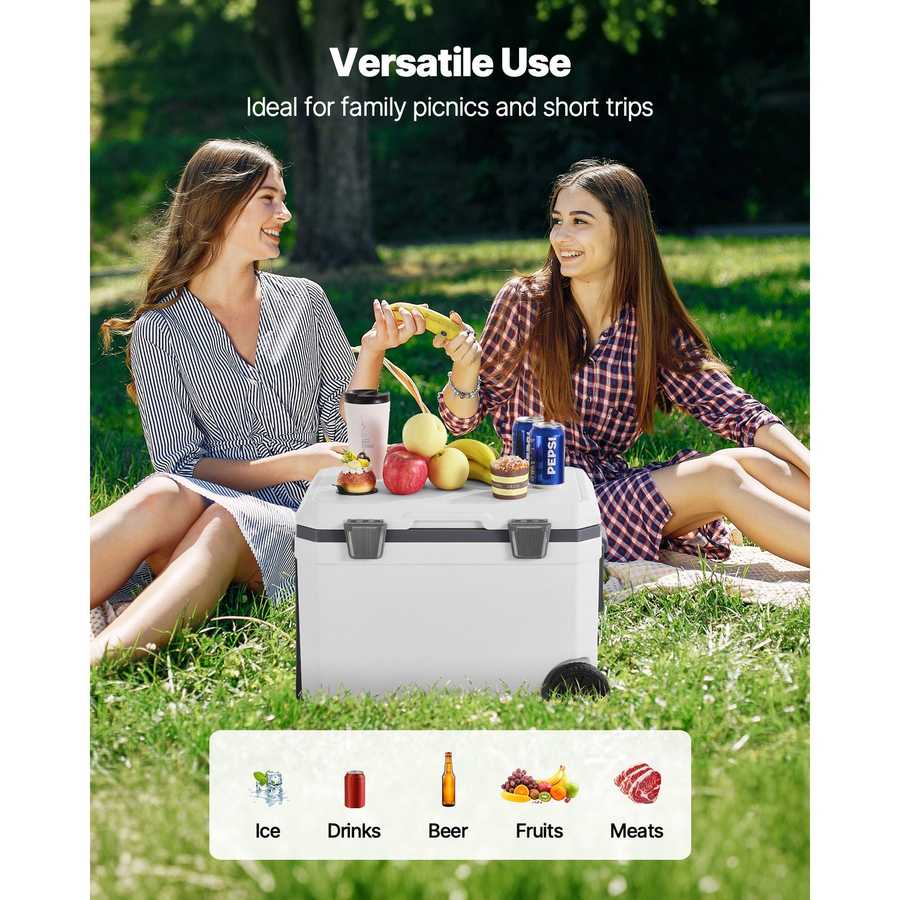 Two women sitting on grass with a cooler box, surrounded by picnic items, with text &