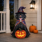 26756262