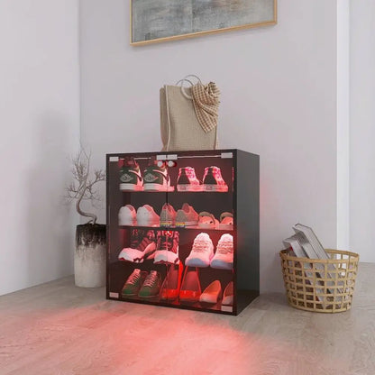 4 Layers Black Shoe Cabinet with Glass Door and Glass Layer Shoes Display Cabinet with LED light Bluetooth Control MLNshops]