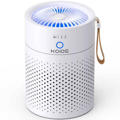 Air Purifiers for Home Bedroom H13 True HEPA Air Filter, Quiet Air Cleaner,Portable Small Air Purifier for Office, Living Room Default Title