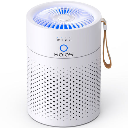Air Purifiers for Home Bedroom H13 True HEPA Air Filter, Quiet Air Cleaner,Portable Small Air Purifier for Office, Living Room Default Title