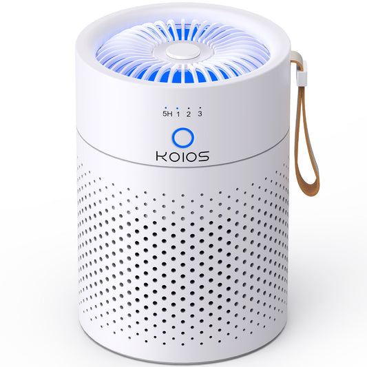 Air Purifiers for Home Bedroom H13 True HEPA Air Filter, Quiet Air Cleaner,Portable Small Air Purifier for Office, Living Room Default Title