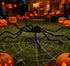 Halloween decorations including a large spider, web, and carved pumpkins in front of a house.