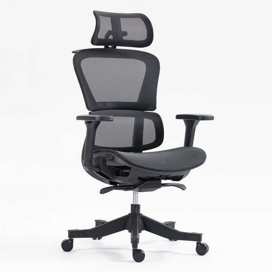 Adjustable ergonomic high back mesh office chair with swivel base and lumbar support. Perfect for office furniture and desk setups.