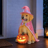 A golden retriever figurine dressed as a witch, wearing a pink hat and cape, sitting on a wooden porch next to a glowing jack-o&