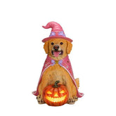 A golden retriever figurine dressed as a witch sits on a porch, wearing a pink pointed hat with a purple bow and a pink cape, with a glowing jack-o&