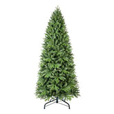 Green Christmas tree on a white background, slim view