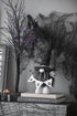 Decorative Halloween gnome with a banner on books, surrounded by Halloween decorations.