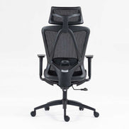 Back view of high back mesh office chair featuring ergonomic frame, mesh backrest, and adjustable lumbar support for office use.