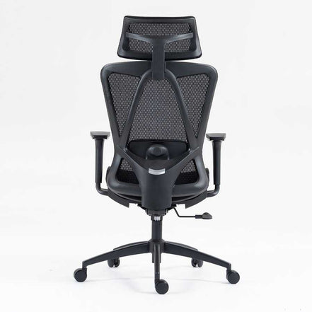 Back view of high back mesh office chair featuring ergonomic frame, mesh backrest, and adjustable lumbar support for office use.