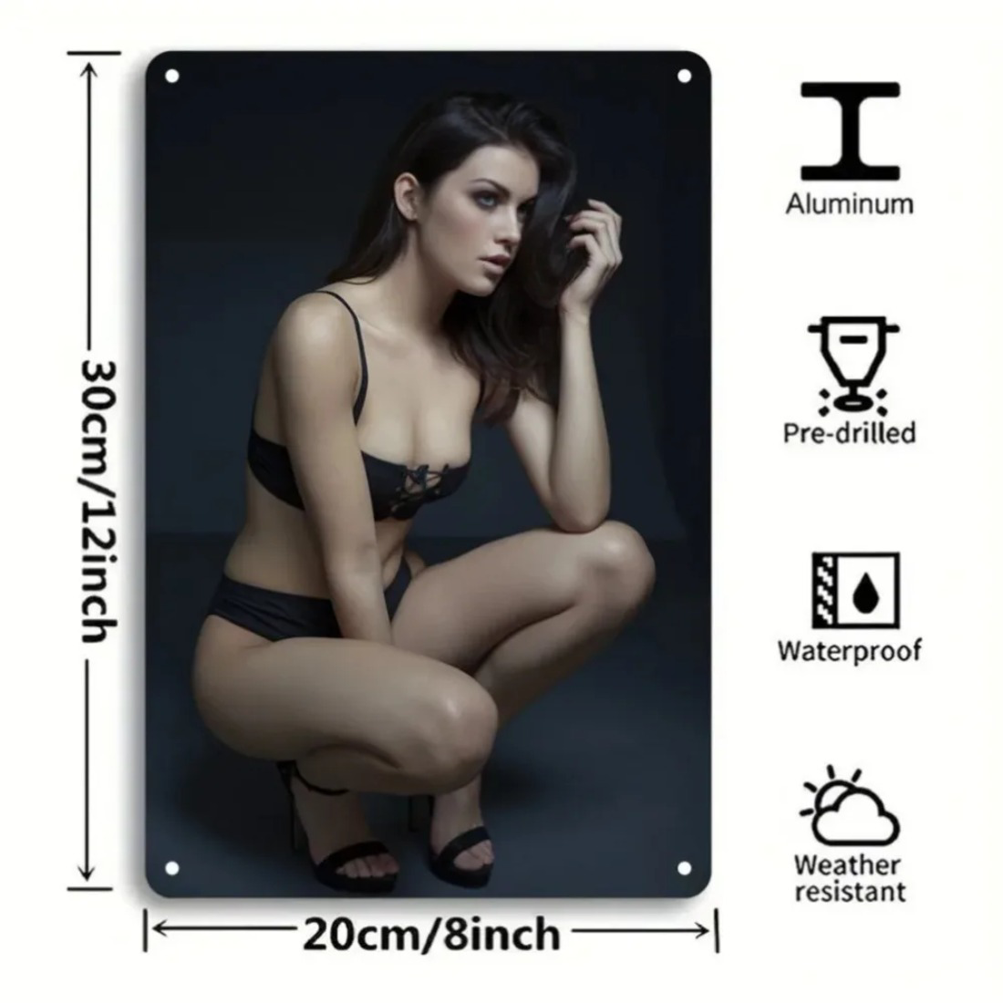 CIFbuy Retro Aluminum Wall Decor, 30x20cm waterproof and weather-resistant sign with pre-drilled holes, showing a woman in lingerie.