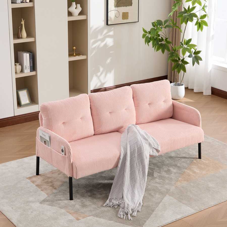Pink sofa in a living room with a rug and plant