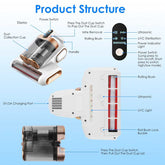 Detailed product structure of Cordless Mattress Vacuum Cleaner showing UVC light, ultrasonic mode, and dust collection components.