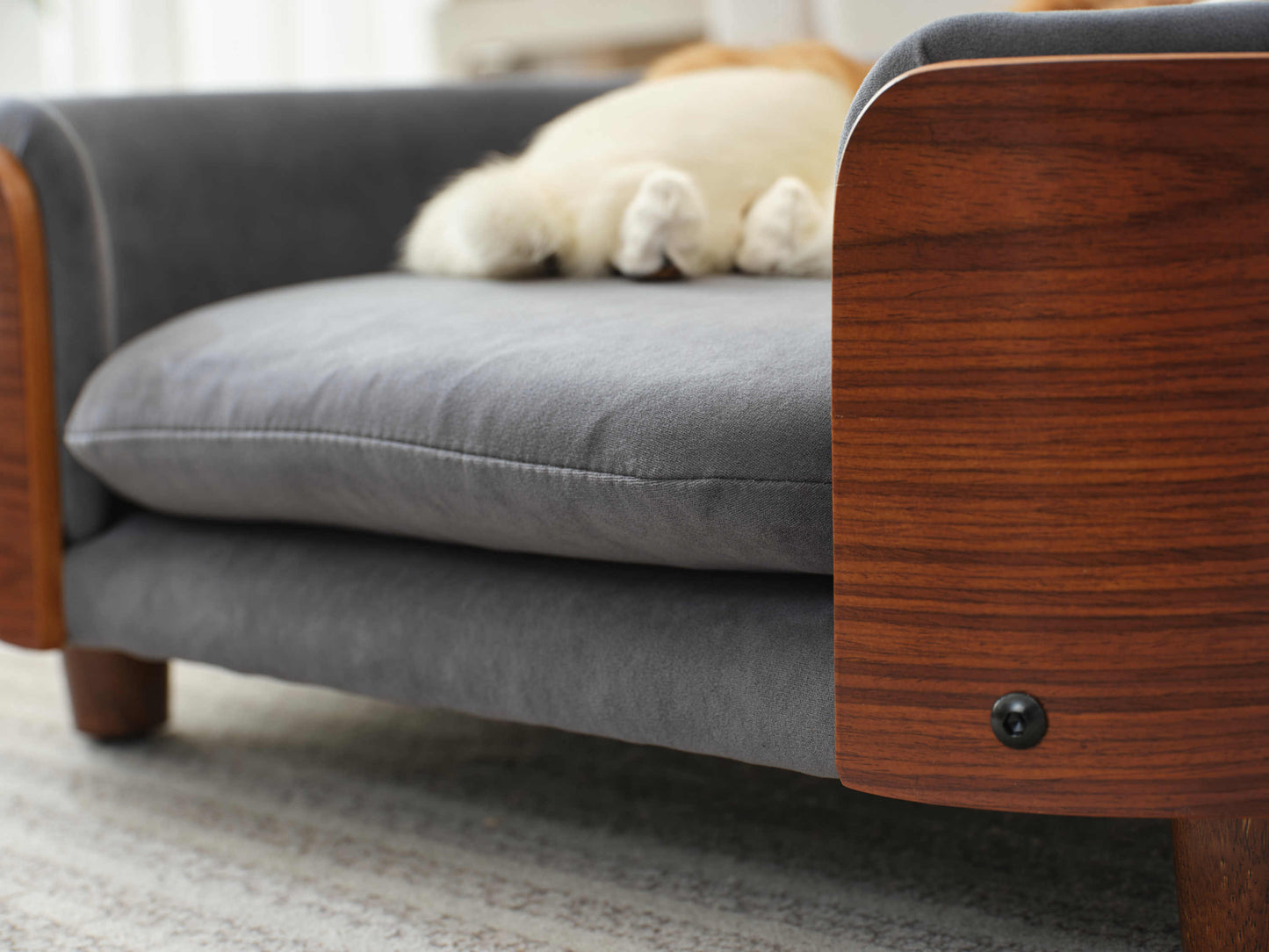Front close-up of orthopedic velvet cushion and solid wood side panel on Scandinavian Elevated Dog Bed for small pets.