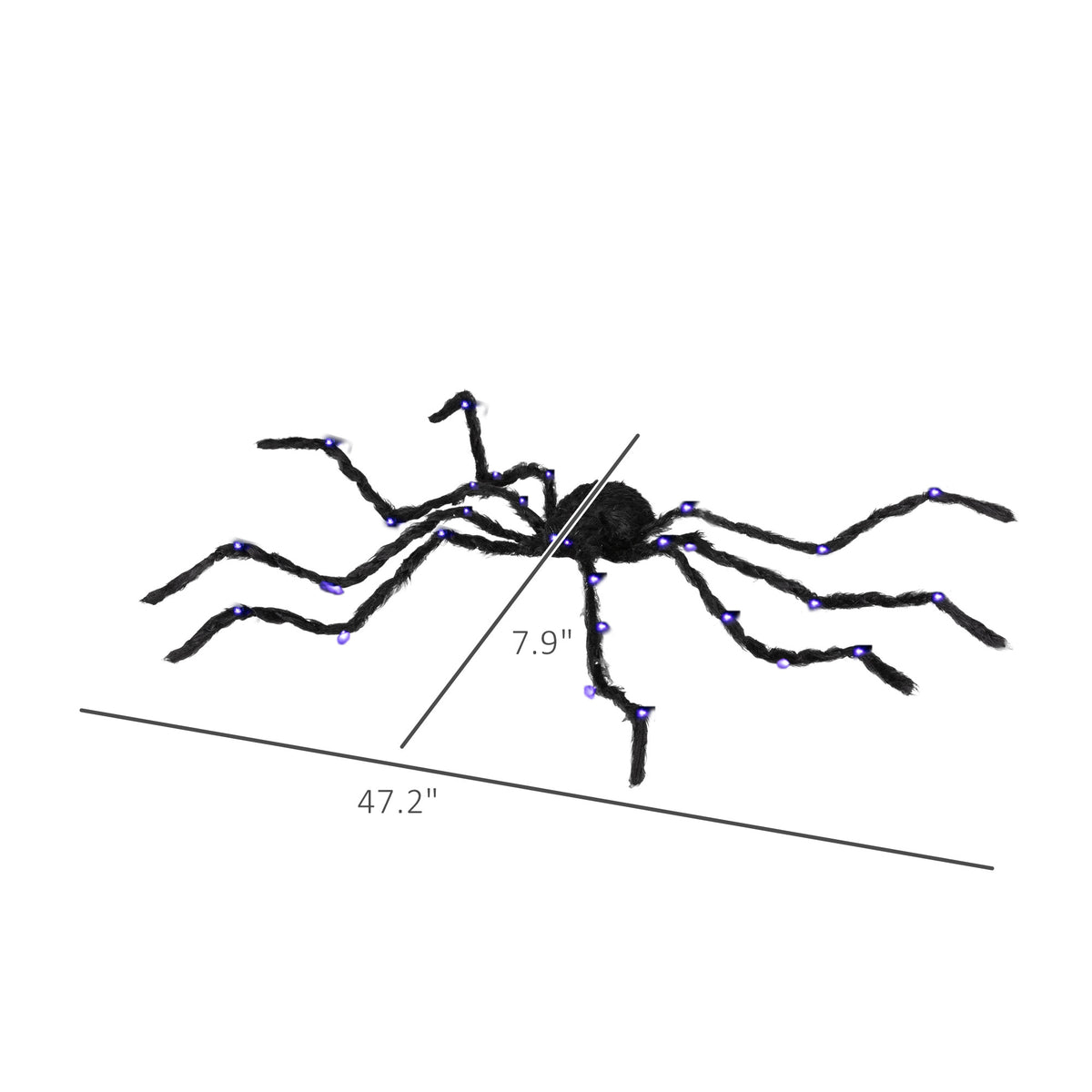 Measurement chart of a spider with labeled dimensions on a white background