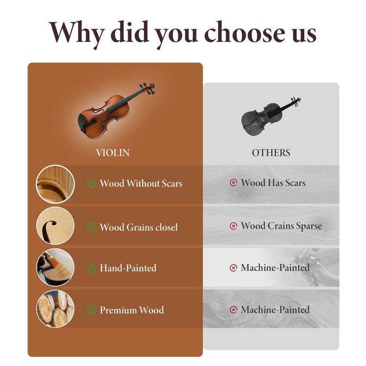 Violin set with accessories for beginners