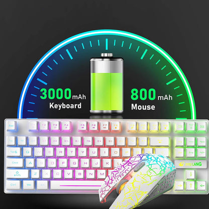 87 Keys RGB Lighting Wireless Mechanical Gaming Keyboard and Mouse Set