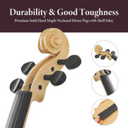 Comparison chart of violin quality and craftsmanship