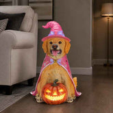 A golden retriever dog figurine dressed as a witch, wearing a pink hat and cape, sitting behind a glowing jack-o&