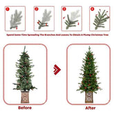 Pre-lit Christmas tree before and after fluffing
