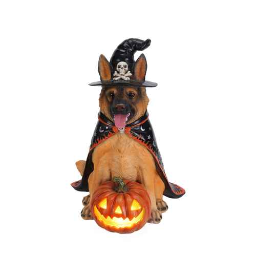 A German Shepherd figurine dressed as a witch, wearing a black pointed hat with a skull emblem and a black cape with orange trim, sitting behind a glowing jack-o&