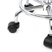 Adjustable Salon Stool with Backrest, Rolling Chair