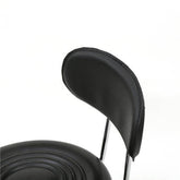 Adjustable Salon Stool with Backrest, Rolling Chair