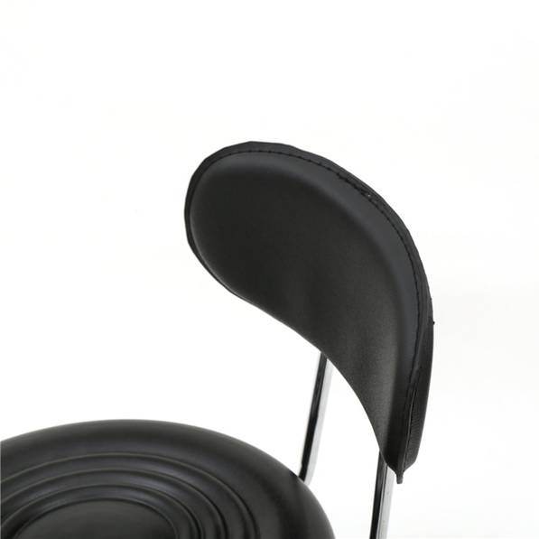 Adjustable Salon Stool with Backrest, Rolling Chair