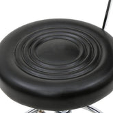 Adjustable Salon Stool with Backrest, Rolling Chair