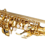 mlnshops Alto Saxophone for Beginners - Quality Brass Instrument