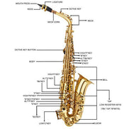 mlnshops Alto Saxophone for Beginners - Quality Brass Instrument