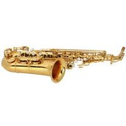 mlnshops Alto Saxophone for Beginners - Quality Brass Instrument